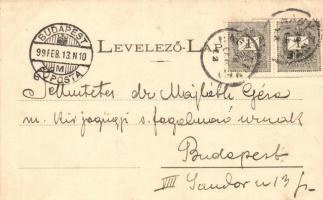 1899 Nagyenyed, Aiud; floral