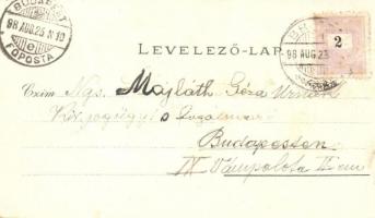 1898 Brassó, Kronstadt; Verlag von H. Zeidner, floral 'Gruss aus...' litho