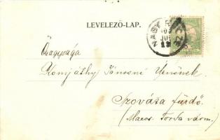 Nagyrőce, Revuca; Látkép a vigadóval / view with redoute