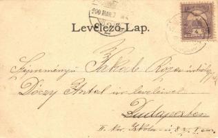 Zsombolya, Gróf Csekonics palotája, Fő tér a Flórián szoborral, Római katolikus templom, Petrovics N...