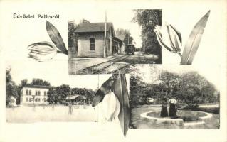 Palics, Vasútállomás, fürdő / railway station, spa, floral