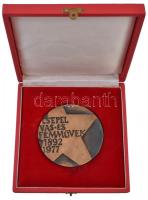 1977. "Csepel Vas- és Fémművek 1892-1977" Br emlékplakett eredeti tokban (91mm) T:2