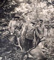 1918-1968 74 db vadászattal kapcsolatos fotó(agancsok, szarvasok, stb.), 6x9 és 9x13 cm
