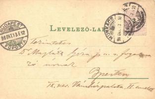 1898 Munkács, Karl Schwidernoch, floral litho