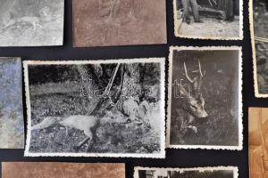 1918-1960 Vadászattal kapcsolatos fényképek(őzbak, trófeák), 22 db, 6x8,5 és 9x14 cm közötti méretek...