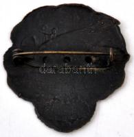 Osztrák-Magyar Monarchia ~1910-1914. "Császári és Királyi Osztrák Repüléstechnikai Egylet"...