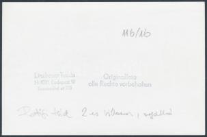 Linzbauer Tamás: Budapest, A 2-es villamos a Boráros téren, pecséttel jelzett fotó, 11x17 cm