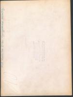 1939 Gyógyszerész teaestély, fotó verzón feliratozva, Jakab Sándor felvétele, 17x23cm