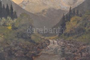 Farkas jelzéssel: Hegyi patak. Olaj, vászon, sérült keretben,  40×50 cm