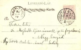 1899 Havanna, Verlag Emil Storch, Kosmos, Geiger litho