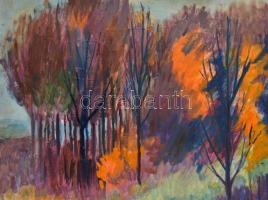 Forró Antal (1924-1982): Erdőszélén. Olaj, farost, jelzett, 42×59 cm