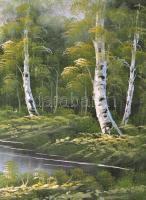 Jelzés nélkül: Erdei tó. Olaj, vászon, újszerű keretben,  60×90 cm