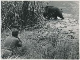 cca 1980 Gábor János: Szemtől szembe, vintage fotó, 18x24 cm / János Gábor: Face to face, vintage photo, 18x24 cm