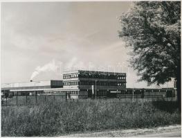 cca 1967 Székesfehérvár, Tejüzem, vintage fotó,  a Fejér megyei Állami Építőipari Vállalat archívumából, 20,5x27 cm