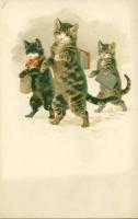 Cats Litho