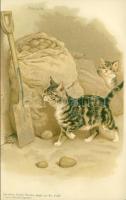 Cats Litho