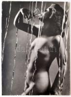 cca 1940 Gisser Gyula: Farsang, feliratozott vintage fotóművészeti alkotás, kasírozva, 39x28 cm