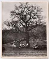 cca 1937 Czvek Gyula (Magyar Film Iroda) vintage fotója, pecséttel jelzett, 30x24 cm