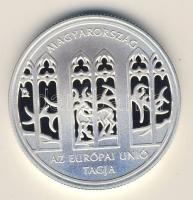 2004. 5000Ft Ag "Magyarország az EU tagja" T:PP Csak 10000db!