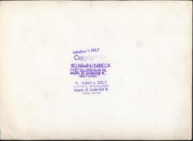 cca 1930 Apróságok bokszmeccse, K. Iseberi v. Dely Sajtófotó képszolgálat, jelzett, 17x24cm