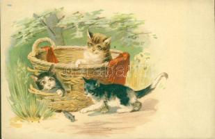 Cats Litho