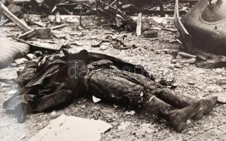 cca 1956 Budapest, Kilőtt harci jármű, vintage fotó, felületén cellux nyomaival, 28x40 cm