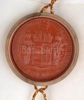 1902 "Nos Rector Et Alma Regia Scientiarum Universitas Hungarica Kolozsváriensis Francisco Jose...