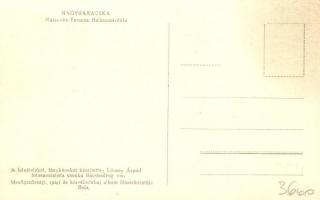 Nagybaracska, Mateovits Ferencz Halászcsárdája, csónakok