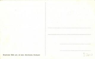 Budapest VIII. Sacre Cour Sophianum Katolikus Leánygimnázium, terrasz