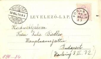 1899 Erdélyi szász pár, Sächsisches Brautpaar, Siebenbürgische Volkstypen-Karte No. 2. / Transylvani...