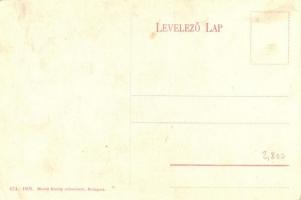 Budapest V. Kígyó tér, Werbőczy-szobor, Belvárosi kávéház; 674-1909 Divald Károly