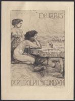 Bruno Héroux (1868-1944): Ex libris Rudolph Steinbach. Rézkarc, papír, jelzett a karcon, 12×9 cm