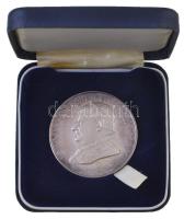 Vatikán 1973. "XXIII. János pápa halálának 10. évfordulója" Ag emlékérem tokban. Szign.: G...