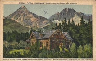 Tátra, Hohenlohe herceg kastélya, Koncsiszta és ferenc József csúcs, kiadja Földes Samu / castle, mountain peaks (EK)