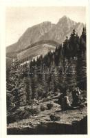 Tatra, Tatry; mountains, - 3 unused postcards