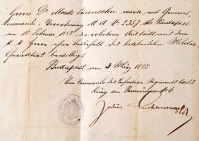 1873 Katonai tartalékos főorvosi kinevezés, pp.2, kissé viseltes állapotban, 42x28cm