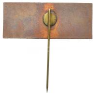 1963. "Budapest - Winkler Centenárium" Br kitűző (18x43mm) T:2