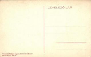 Torna, Várromok / Turniansky hrad