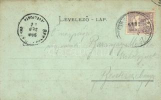 1899 Zólyom, Zvolen; Hungária szálloda, Steiner Lajos, Kollár Gyula, Henzel Pál és Lőwy Miksa üzlete...