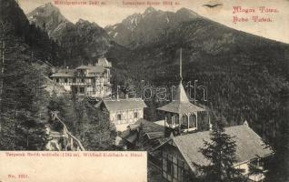 Tátra, Tarpatakfüredi szálloda, Lomnici csúcs / hotel, mountain peak (EK)