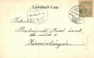 Zólyom, Zvolen; Unio vasgyár / iron works