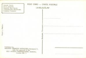 Svéd cserkész; kiadja a Magyar Cserkész Szövetség / Swedish boy scout s: Márton L