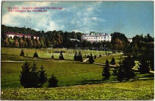 Szliács, Sliac; Hungária szálloda, Tost-Béla liget / hotel, park