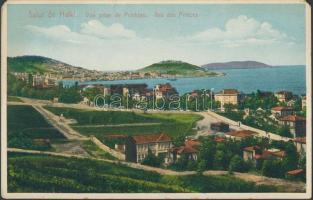 Constantinople, Istanbul; Collection Ludwigsohn - leporellocard with 12 postcards