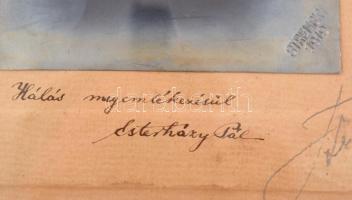 1919 Esterházy Pál (1901-1989) herceg fiatalkori portréja, Strelisky műterméből, a herceg dedikációj...