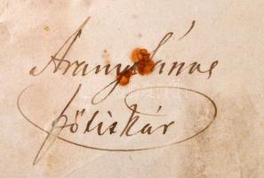 1875 Magyar Tudomány Akadémia köszönetnyilvánítása Zelizy Dániel orvosnak, Arany János főtitkár sajá...