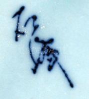 Jelzett kínai tál, kézzel festett, hibátlan, m:9 cm, d:18 cm