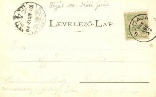 1904 Bodajk, gyógyfürdő, fürdőzők