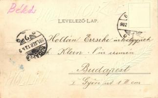 1902 Budapest XI. Kamaraerdő, Brauswetter villa