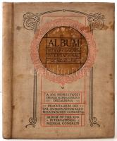 A XVI. Nemzetközi Orvosi Kongresszus díszalbuma. Bp., 1909, Petőfi Irodalmi és Nyomdai Vállalat. Kiadói aranyozott egészvászon kötés, kopottas állapotban.